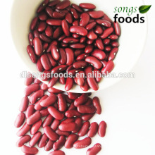 Dark Red Kidney Beans Variety Counts